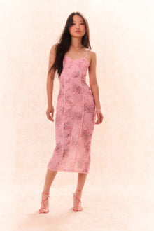 Tresor Lace Bustier Midi Dress | Pink Dusk