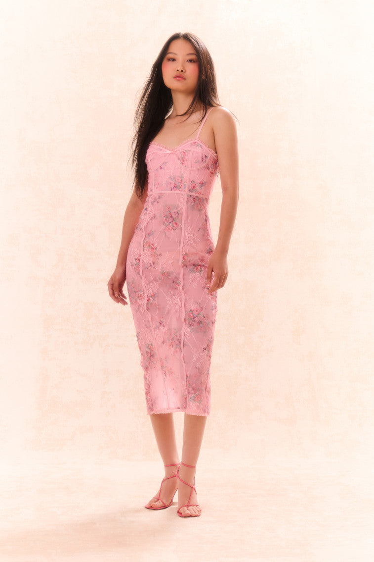 Tresor Lace Bustier Midi Dress | Pink Dusk