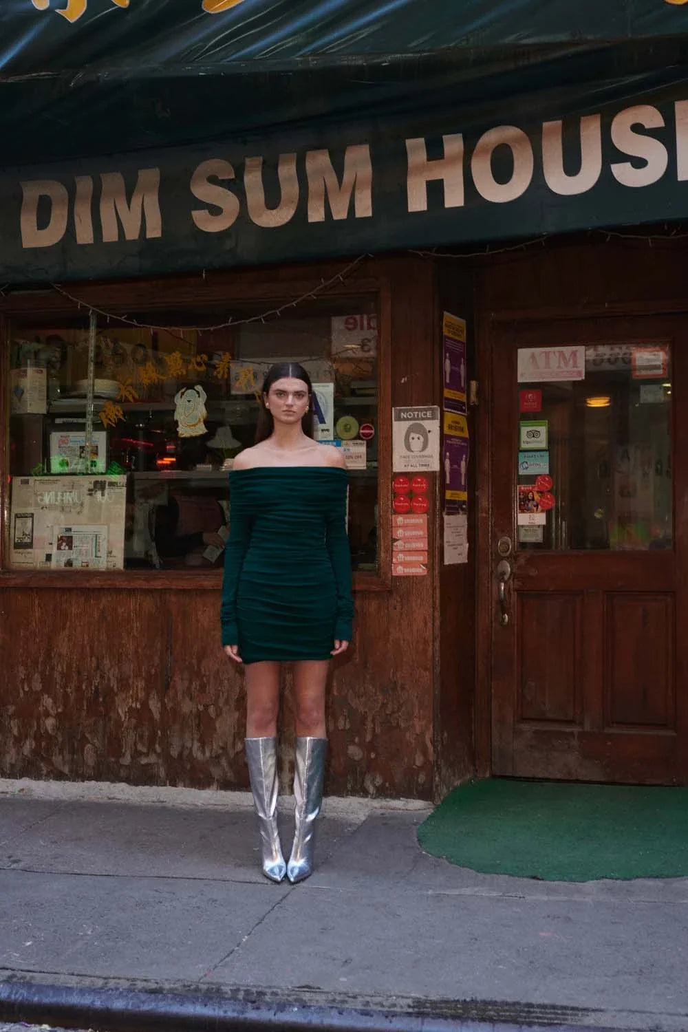 Fuji Mini Dress | Bosque