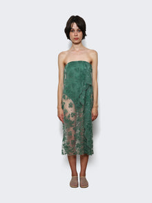 Women | Christopher Esber | Floating Lace Strapless Dress Evergreen | Green