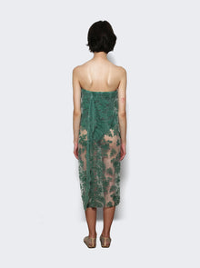 Women | Christopher Esber | Floating Lace Strapless Dress Evergreen | Green