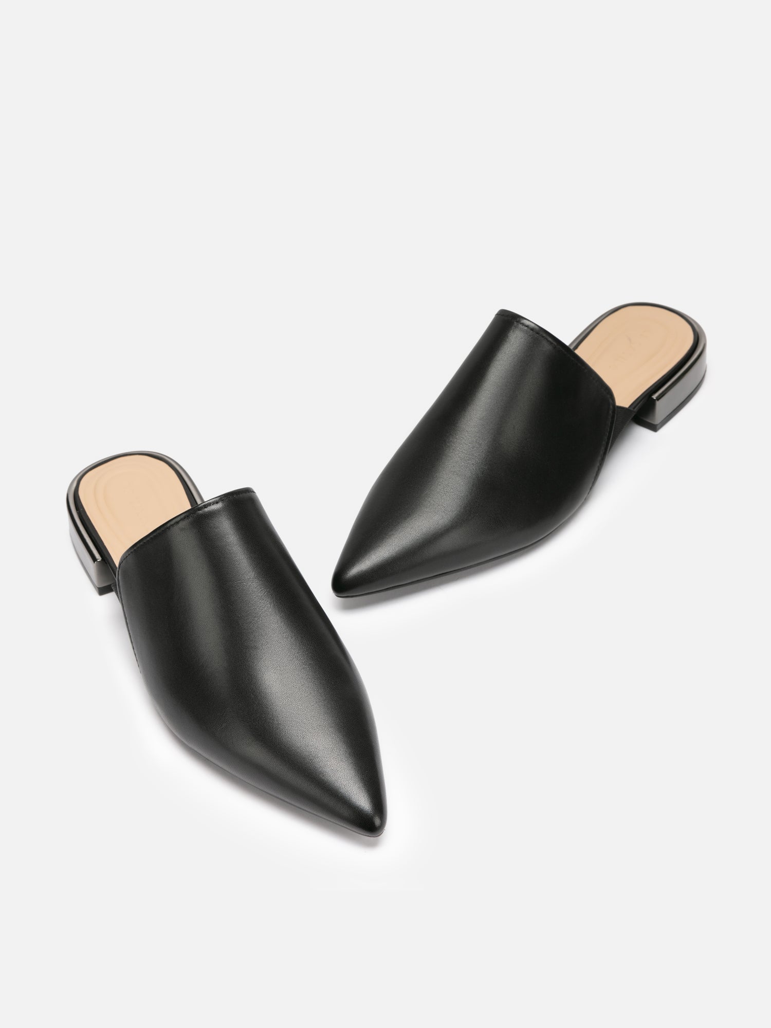 Low-Heel Mule Pointed Slippers | Black