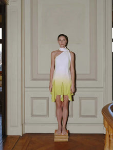 Ari Mini Dress | Golden Milk