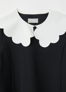 Wide Collar Sensitive Fabrics Dress | Black