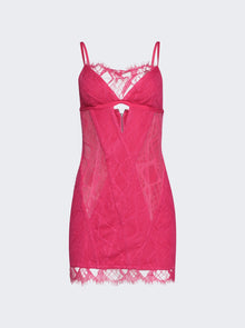 Women | Dion Lee | Oblique Lace Corset Dress | Candy Pink