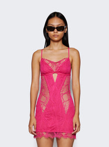 Women | Dion Lee | Oblique Lace Corset Dress | Candy Pink