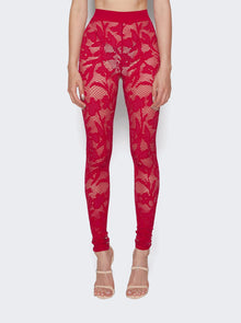 Women | ALAÏA | Lace Leggings | Fuchsia