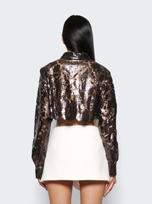 Women | Coperni | Lace Cropped Shirt | Chocolate Brown