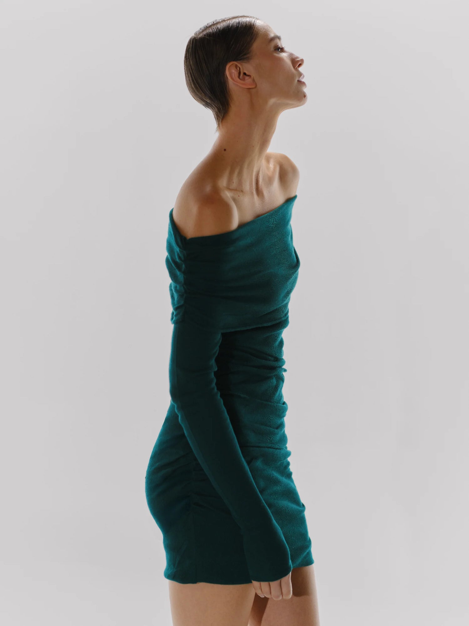 Fuji Mini Dress | Bosque