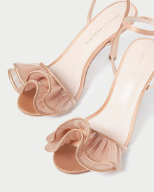 Color: Beauty