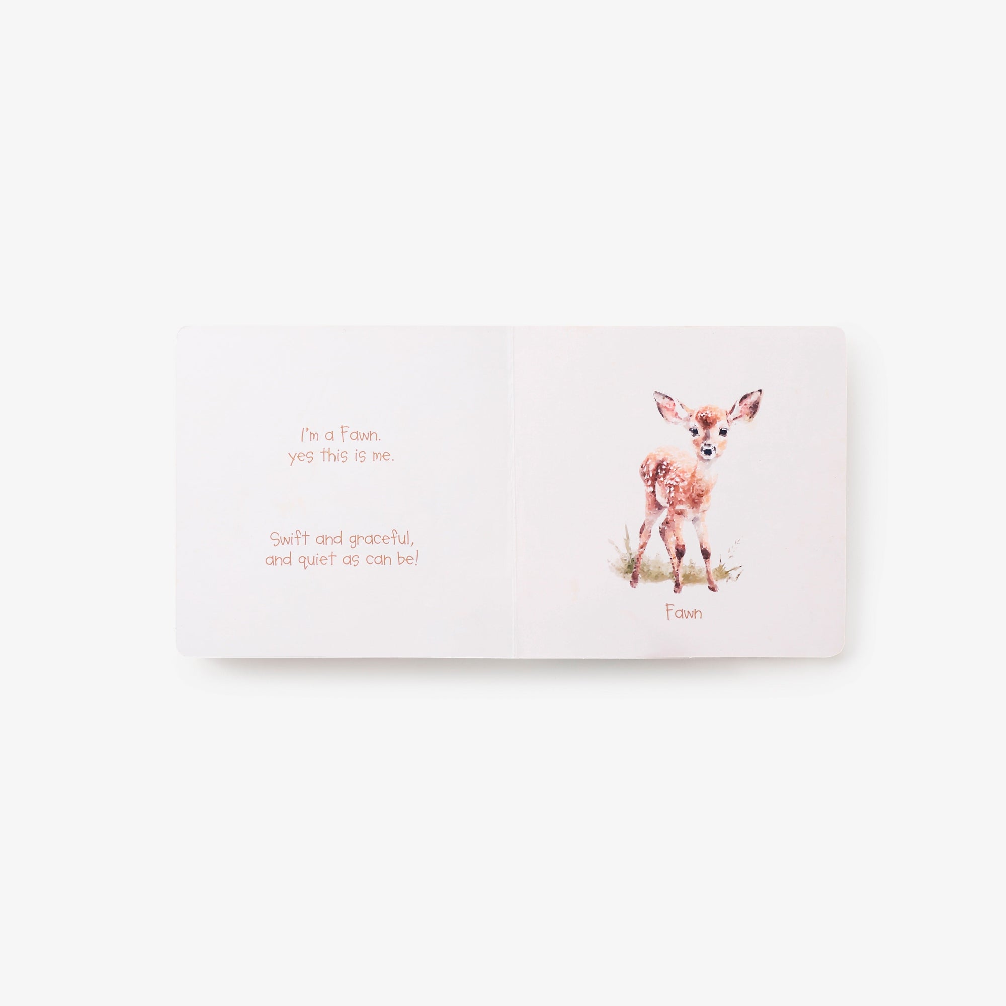 Unisex | Little Wonders Forest Board Book