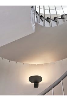 Oplight Wall 1 | Anthracite