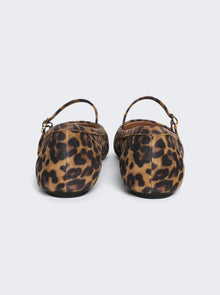 Women | Gianvito Rossi | Carla Camoscio Flat | Almond Leopard Print