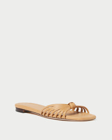 Color: Dune