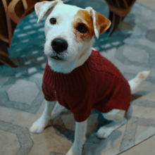 Dixie Dog Sweater | Red Pear