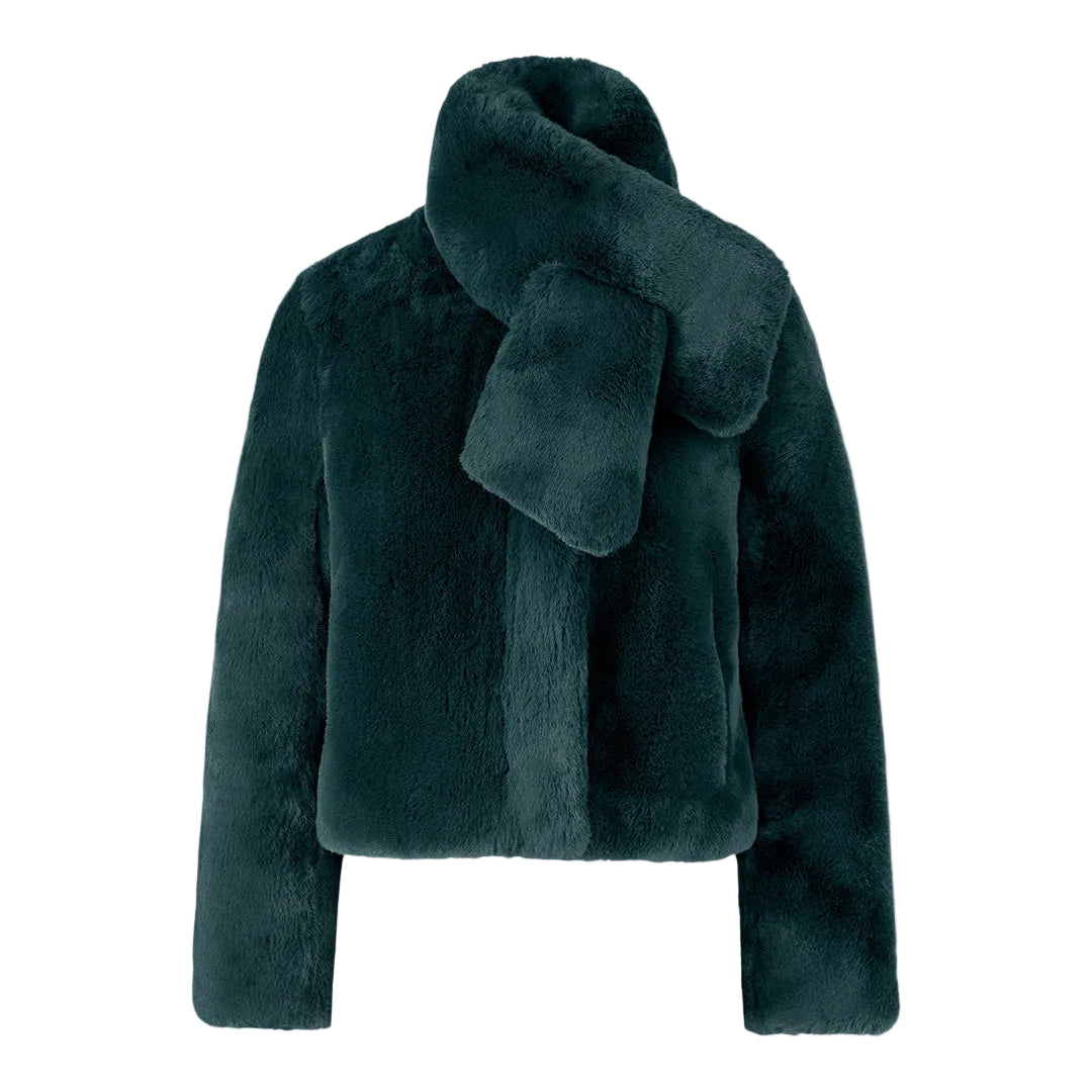 Midnight Forest