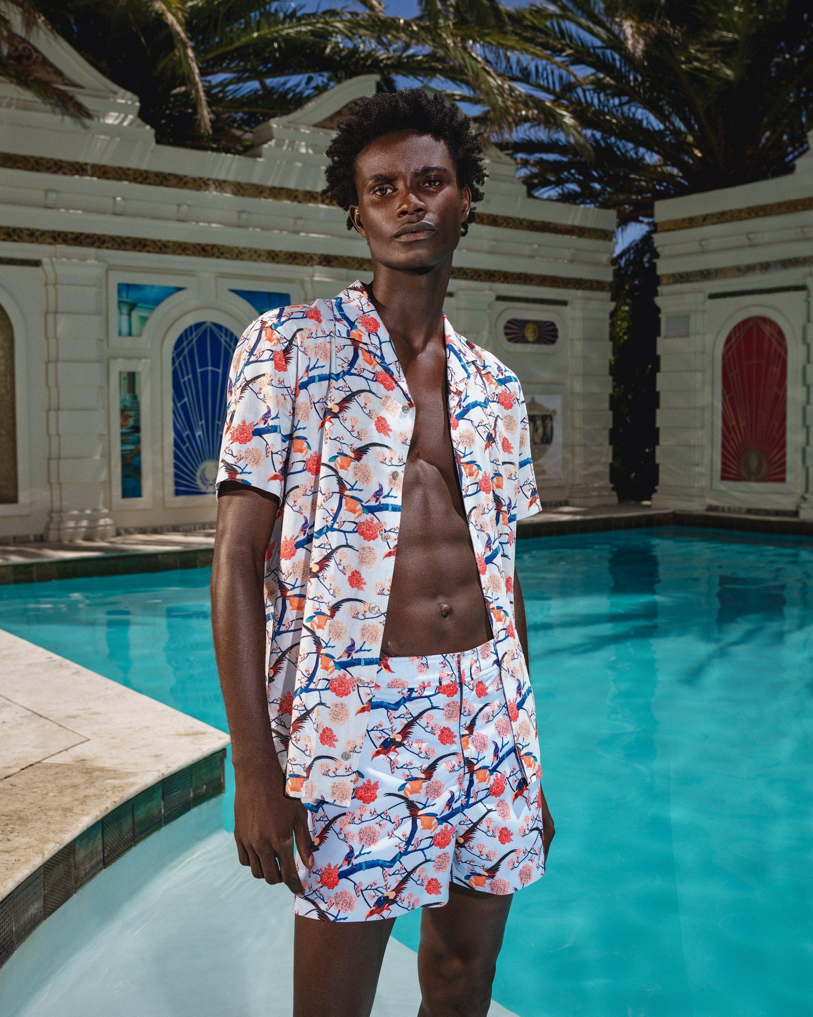 Setter Light Island Sky Flight Of Fantasy Shorter-Length Swim Shorts | Light Island Sky