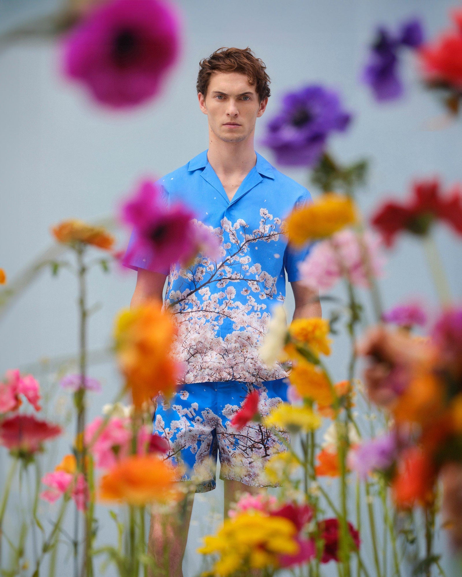 Maitan Blossom Photographic Print Relaxed Fit Capri Collar Shirt | Blossom