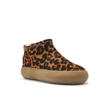 PISCIS LEOPARD - Australia Luxe Collective