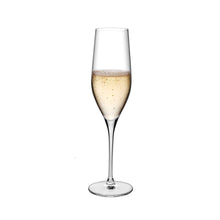 Vinifera Champagne Glasses | Clear Crystal | Set of 2