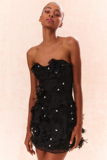 Sabila Organza Mini Dress | Black