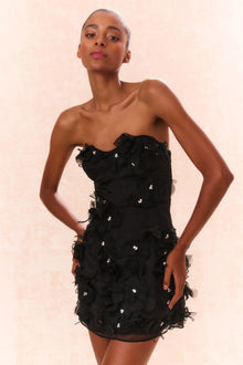 Sabila Organza Mini Dress | Black