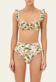 Secreto-Jengibre-Orquidea-Bikini-bottom-19263-5.jpg