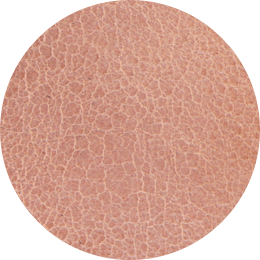 All-Day Open Toe Clog Desert Rose Women's Leather Clog Nisolo