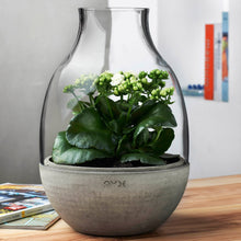 Eden Terrarium With Moulded Concrete Base - Mini | Clear Crystal/Conrete