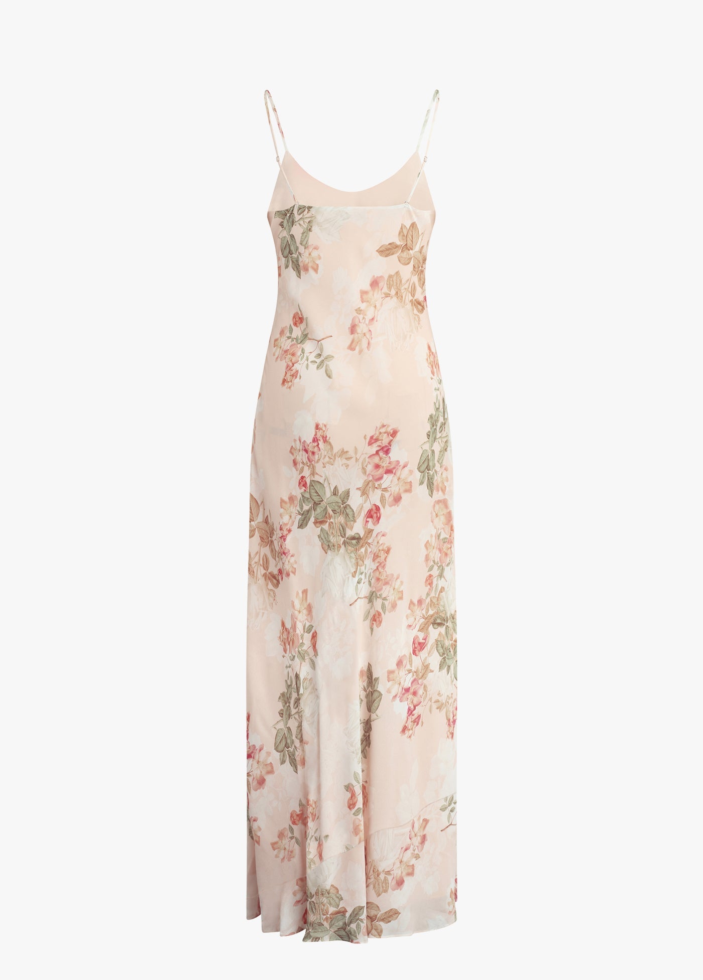 light peach rose
