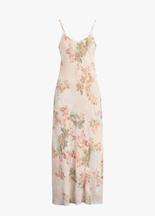 light peach rose