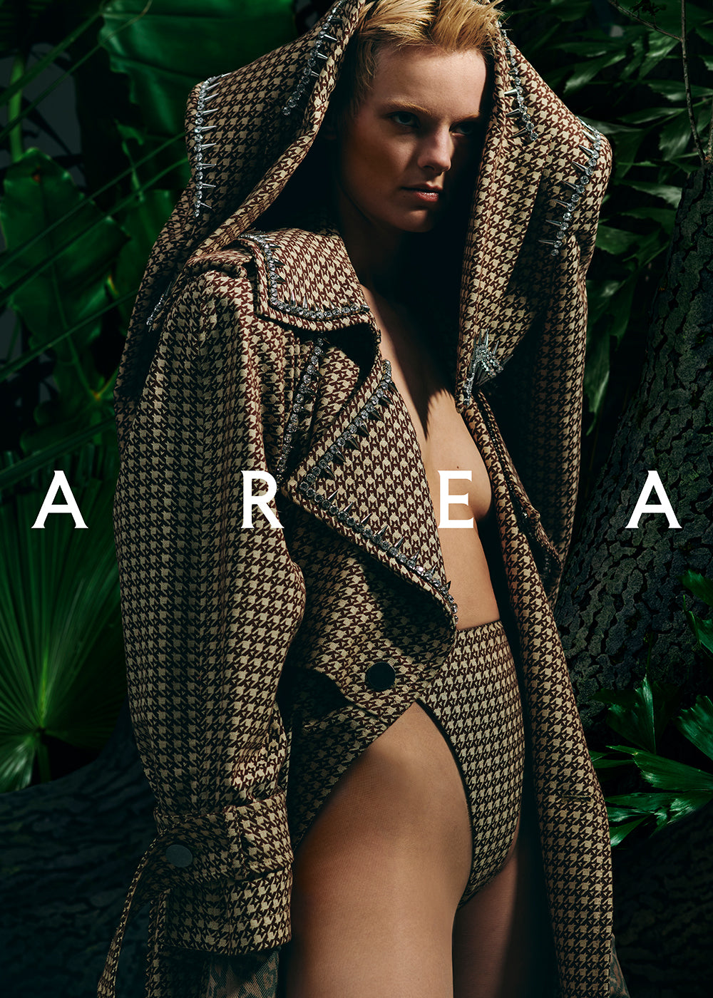 Area
