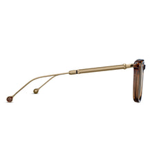 M2043 Square Sunglass | Beer Brown | Brown Gradient Lenses | 51M