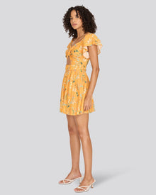 The Renata Mini Dress - Solid & Striped